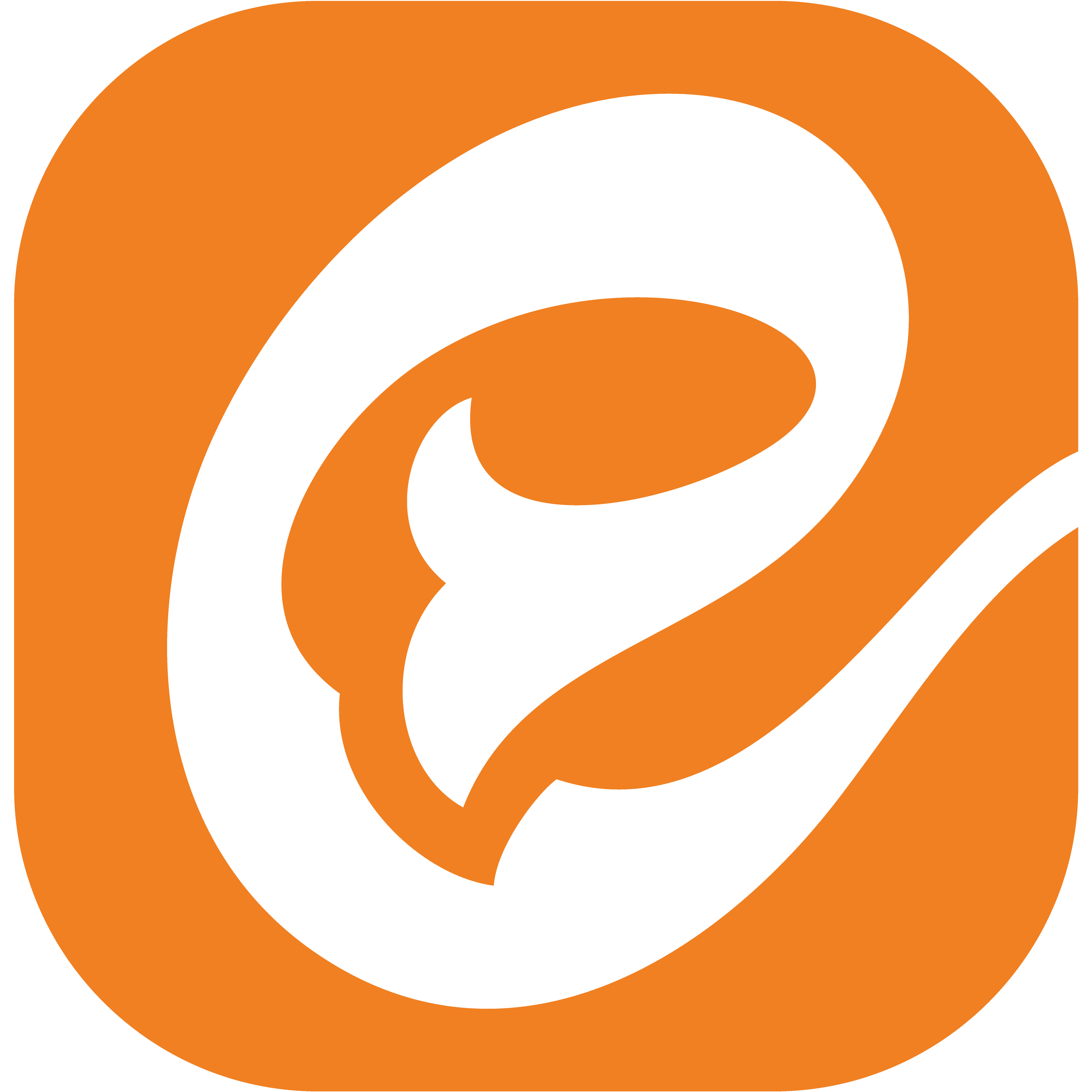 media